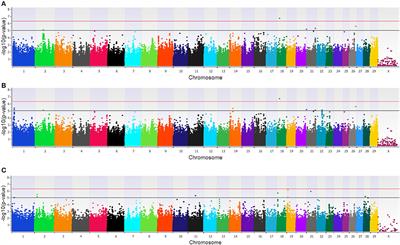 Identifying Loci Associated With Bovine Corona Virus Infection and Bovine Respiratory Disease in Dairy and Feedlot Cattle